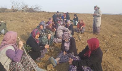 AKP’li vekil topraklar kıymetlenecek dedi, köylüler karşılık verdi: Arazi mi kaldı?