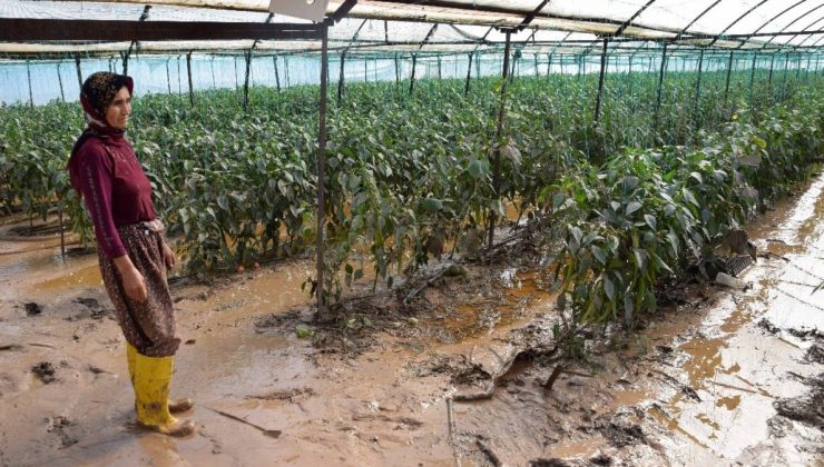 Antalya’da meydana gelen sel sonrası ‘çiftçiyi mağdur etmeyin’ uyarısı