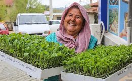 Buca'da Belediye-Kooperatif işbirliği, tarımı canlandırdı