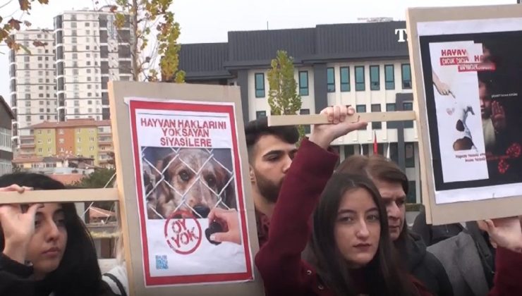 Hayvan hayat hakları savunucularından protesto