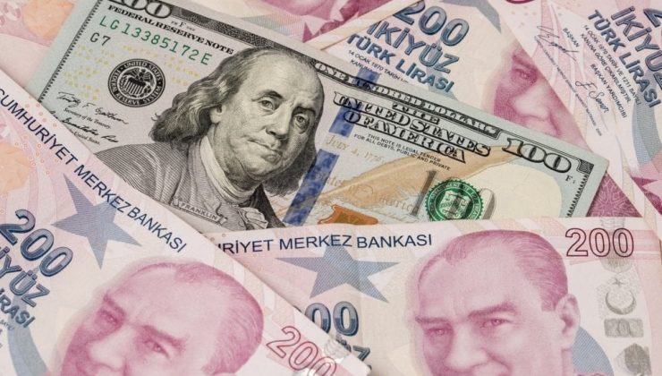 Sermayesinin yarısından fazlası kamuya ilişkin kuruluşların üst fonları için kolaylık