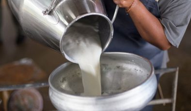 Süt ve süt eserleri üretimindeki düşüş derinleşti