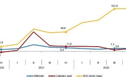 İstihdam endeksi yıllık %7,3 arttı