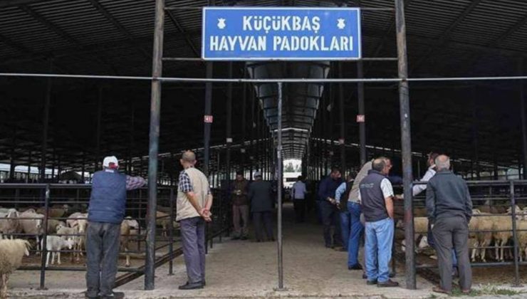 Kütahya’da şap hastalığı nedeniyle hayvan pazarları kapatıldı