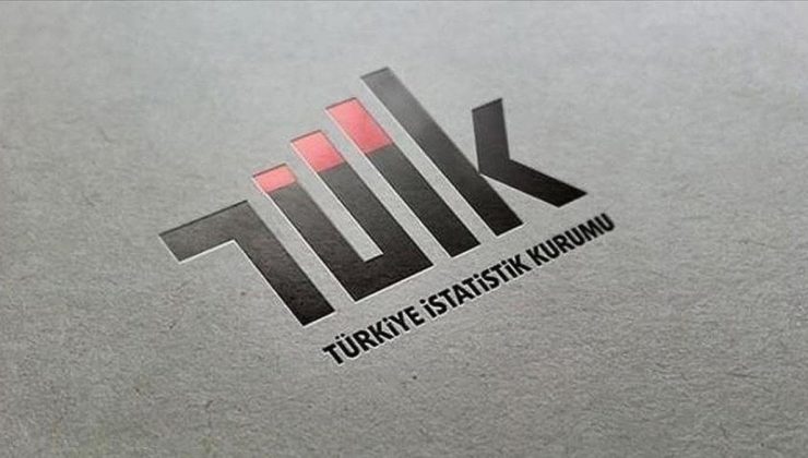 TÜİK lider yardımcılığına üç yeni isim