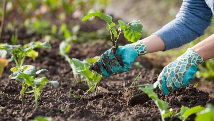 Gübre ithalatı uygunluk yazısı müracaat yerleri değiştirilebilecek