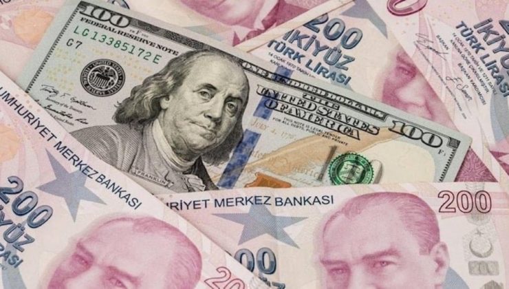 Özel kesimin yurt dışı kredi borcu ocakta 159,7 milyar dolar oldu