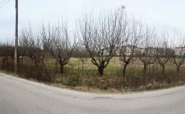 Sarsıntı toplanma alanına 97.5 milyonluk millet bahçesi