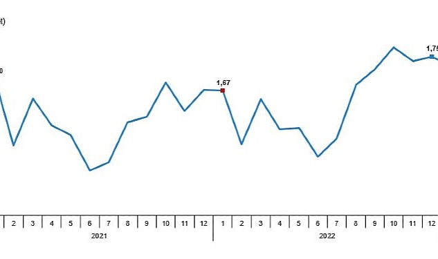 TÜİK: Tavuk eti üretimi 191 bin 807 ton, tavuk yumurtası üretimi 1,73 milyar adet olarak gerçekleşti
