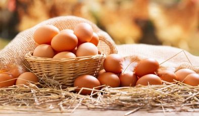 Yumurta üreticileri: Yükselen fiyatlardan vatandaş kadar biz de şikayetçiyiz