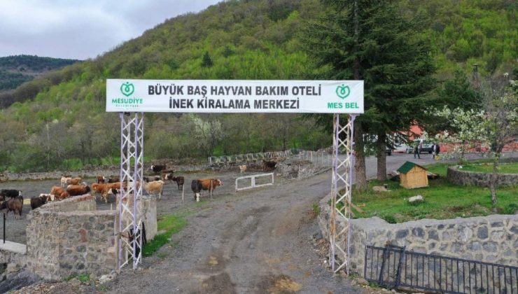 AKP’li belediyenin hayvan otelinde kayboldular