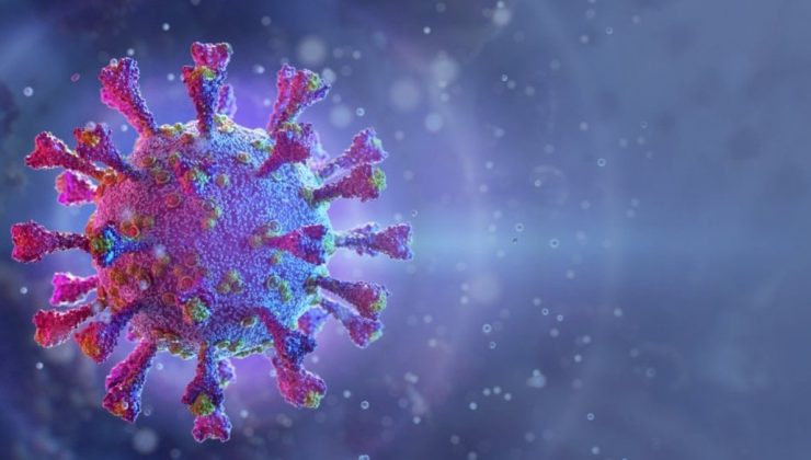 Corona virüsünde yeni varyant paniği: Arcturus varyantı olay sayısını artırdı
