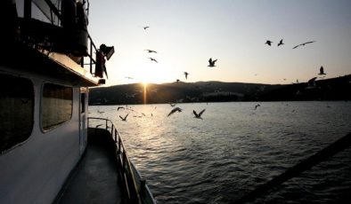 Marmara Denizi’nde büyük tehlike: Çeşitleri her geçen gün azalıyor