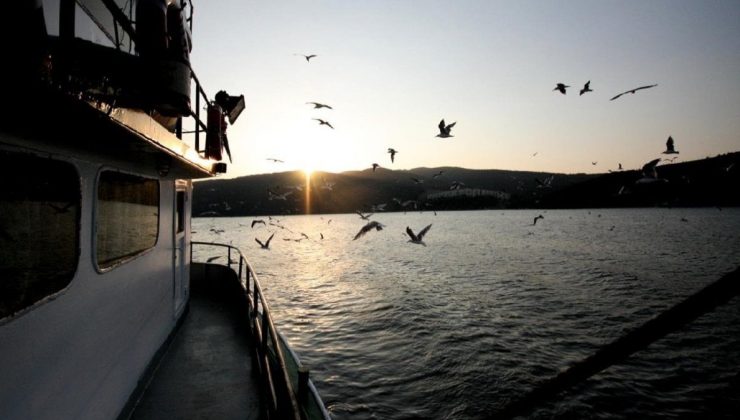 Marmara Denizi’nde büyük tehlike: Çeşitleri her geçen gün azalıyor