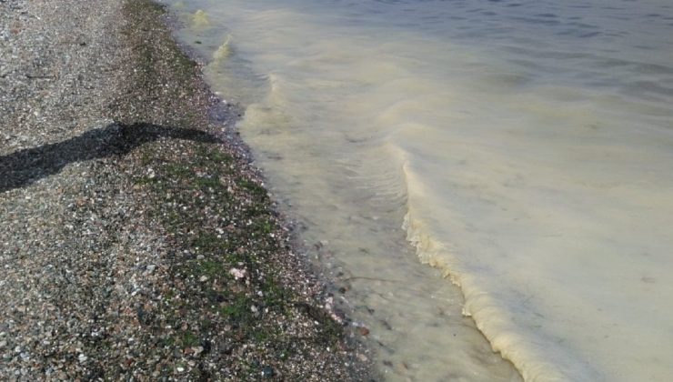 Marmara Denizi’nde görüldü… Kâbus hortladı!