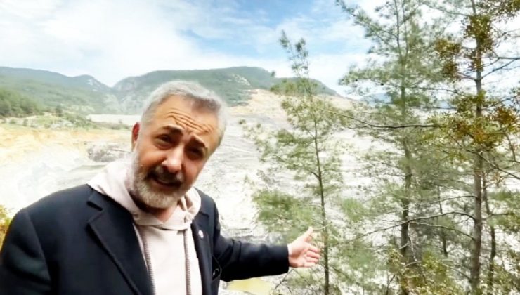 Mehmet Aslantuğ: Akbelen Ormanları için vatan haini olmayı göze alıyorum