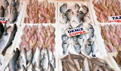 Mersinli balıkçılar: Et fiyatları artınca balığa ilgi arttı