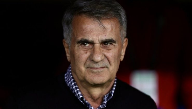 Şenol Güneş: Tatmin edici bir oyun değildi