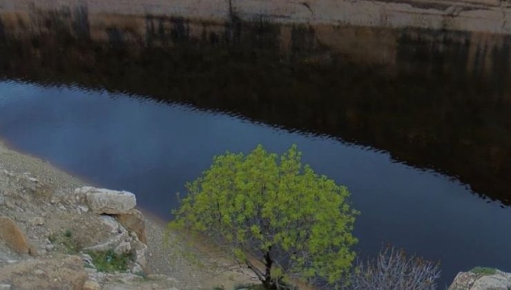 Simsiyah akmaya başladı, kirletici öge bulunamadı