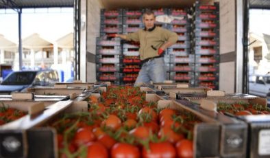 Tarım eserleri ihracatında domates ve biber birinci sırada