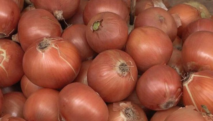 Tarım ve Orman Bakanlığı’ndan soğan açıklaması