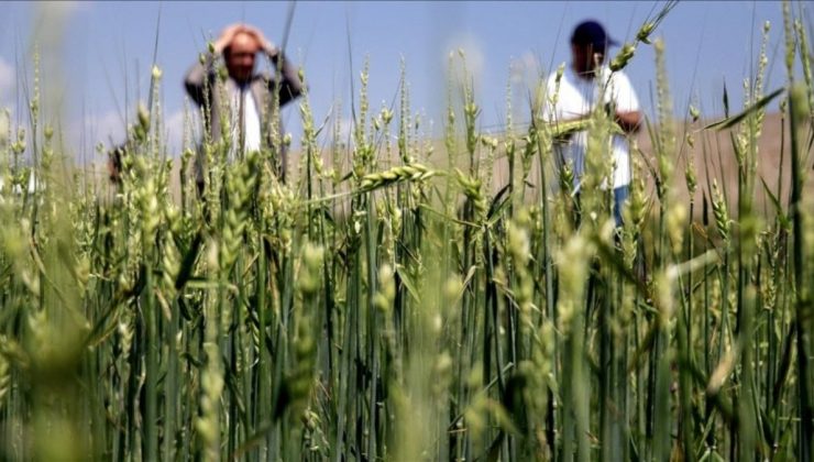 Tarımı sarsıntıdan sonra sel ve dolu vurdu: Pahalılık katlandı