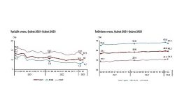 TÜİK: İşgücü İstatistikleri, Şubat 2023