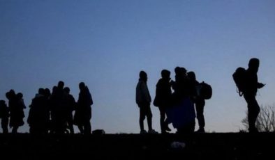 Türkiye’den son iki yılda 708 bin 84 kişi yurtdışına göç etti