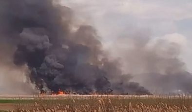 Ulusal Park alev alev yandı, 15 saat sonra söndürülebildi