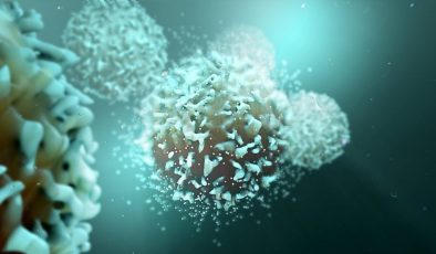 Bilim insanları, kanserin bağışıklık sisteminden nasıl kaçındığını buldu
