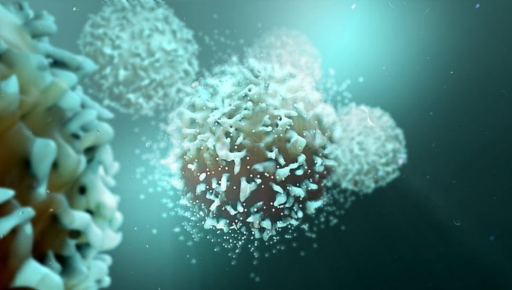 Bilim insanları, kanserin bağışıklık sisteminden nasıl kaçındığını buldu