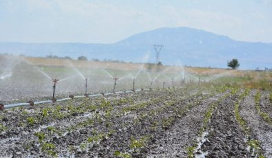 Çiftçilere su kullanımında uygulanacak yüzde 50 indirimin asılları belirlendi