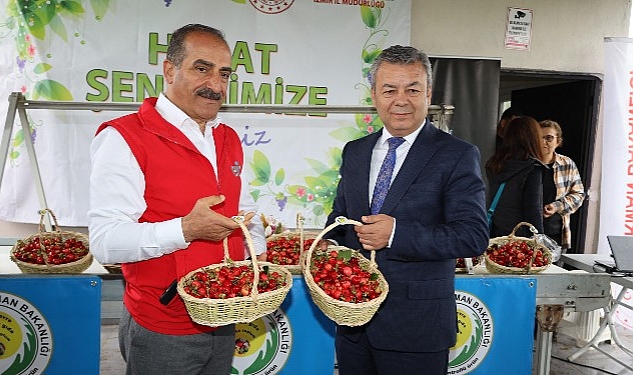 Dünya'nın kirazı Kemalpaşa'dan gidecek