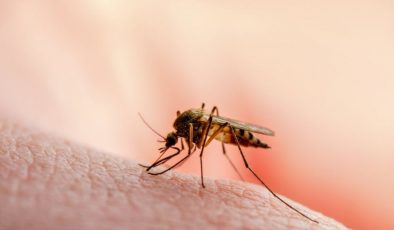 İtici buldular: Sivrisinekleri uzaklaştırmak için ülkü sabun kokusu