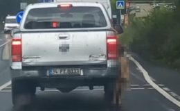 Seyir halindeki pikapta reaksiyon çeken imaj
