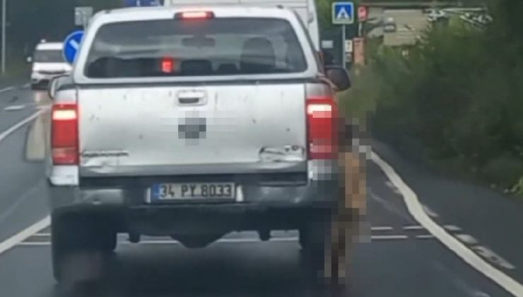 Seyir halindeki pikapta reaksiyon çeken imaj