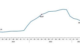 TÜİK: Tüketici fiyat endeksi (TÜFE) yıllık %43,68, aylık %2,39 oldu