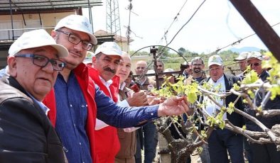 Türk üzümü dünya sofralarına kalıntısız ulaşıyor