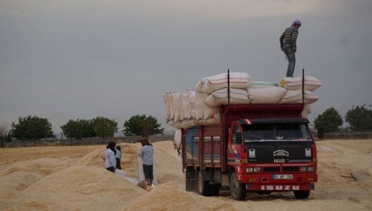 Çiftçi sahipsiz kaldı, seçime kurban gitti