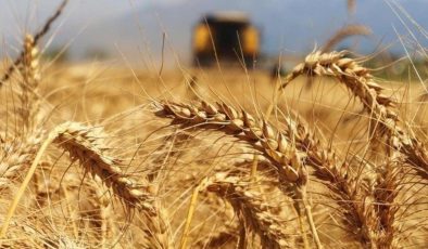 Erdoğan, buğday ve arpa alım fiyatlarını açıkladı