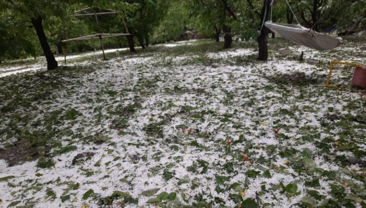 Kirazda 500 milyon TL’lik dolu ziyanı