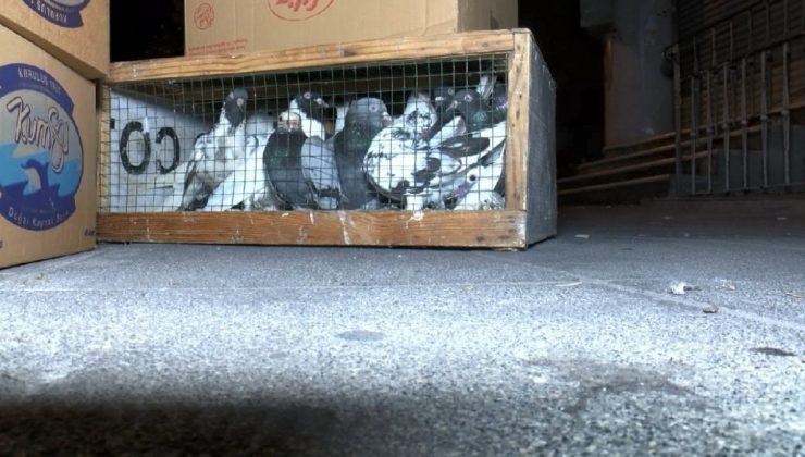Kuş mezatı yapılan lokale silahlı saldırı: 1 ölü