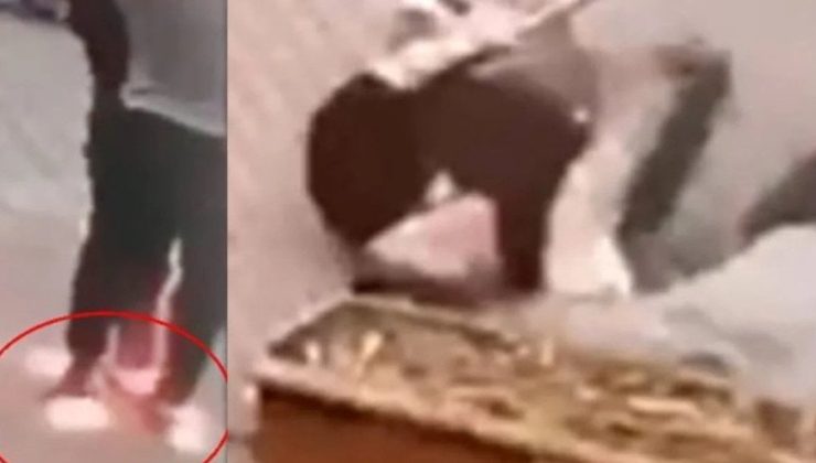Papağan yakalarken çarpılmışlardı: 58 gün sonra öldü