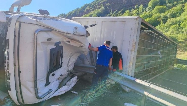TIR devrildi: 150 koyun ve şoför öldü