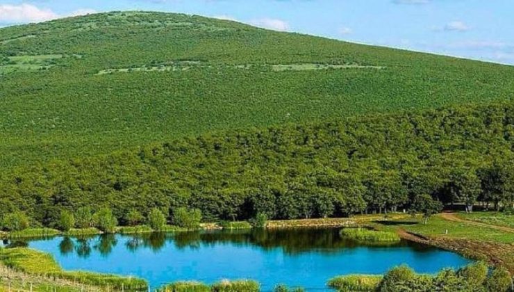 AKP’li belediye izin verdi: Doğa harikası bitti