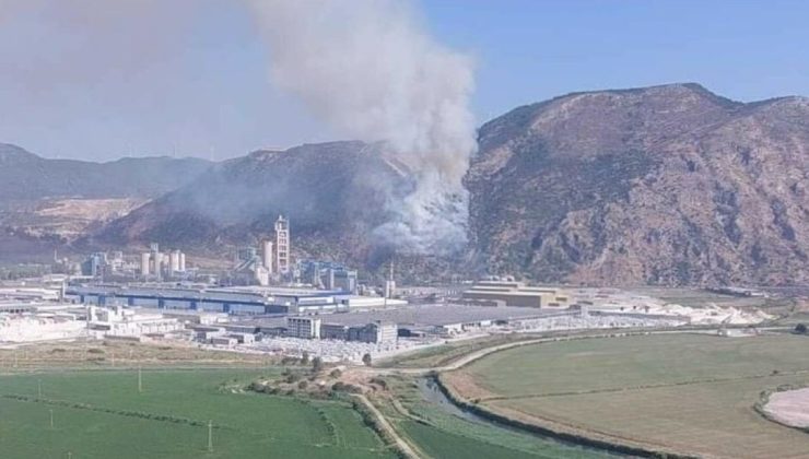 Aydın’da orman yangını: Havadan karadan müdahale başladı