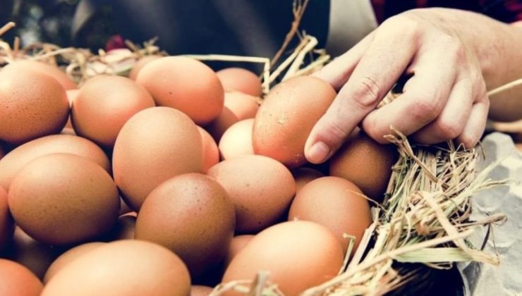 Bakanlıktan ‘yumurta’ soruşturması