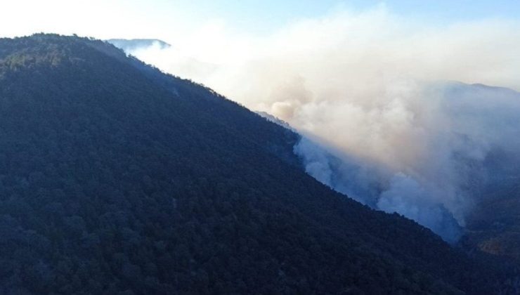 Bolu’da yıldırım düşmesi sonucu çıkan orman yangınına müdahale sürüyor