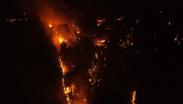 Çanakkale’de orman yangını! Hızla yayılıyor