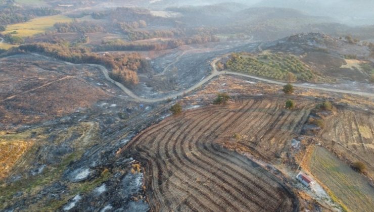 Çanakkale’de yanan alanlar böyle görüntülendi